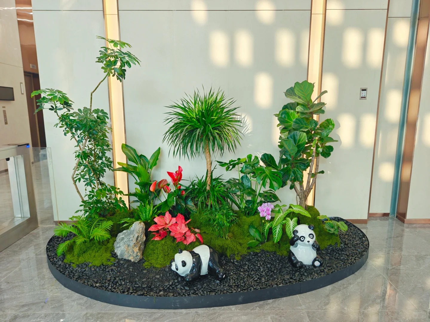 专业盆景租赁在宁波镇海，给您自然之美